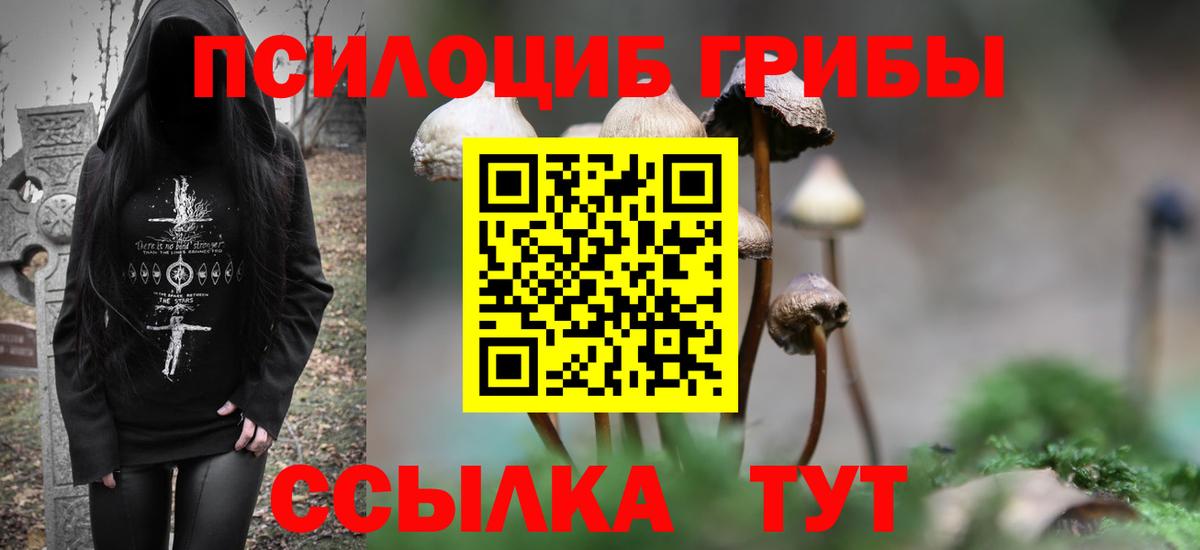 Галлюциногенные грибы ЛСД  Псилоцибиновые грибы Psilocybe  наркошоп  Саратов  Вход с VPN 